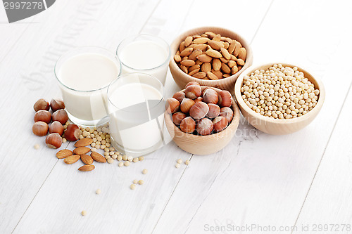 Image of different vegan milk