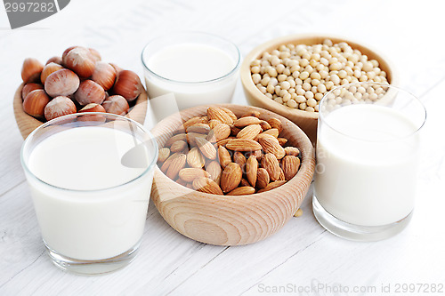 Image of different vegan milk