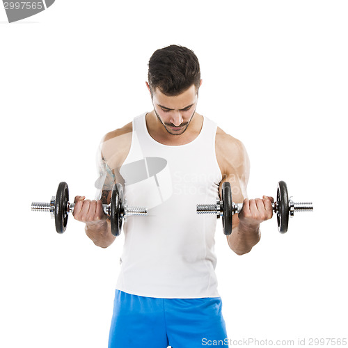 Image of Athletic man lifting weights