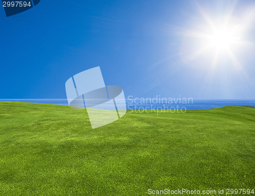 Image of Beautiful green landscape