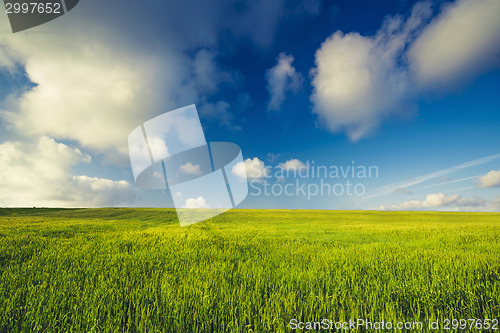 Image of Beautiful green landscape