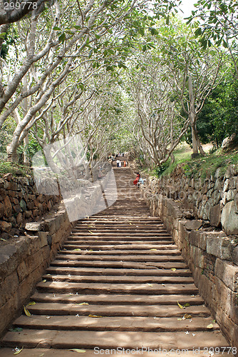 Image of Steps to the top