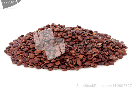 Image of Jujube Seed