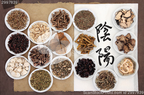 Image of Yin and Yang Herbs