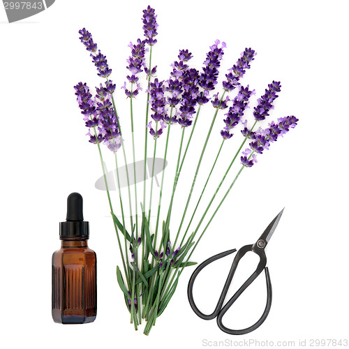 Image of Lavender Herb Essence