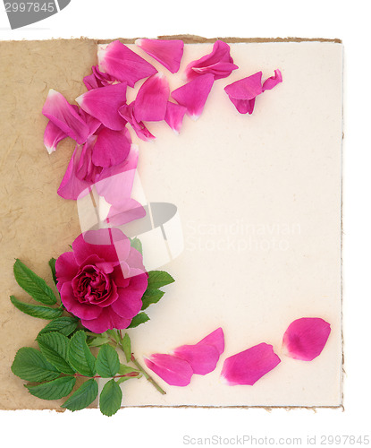 Image of Rose Flower and Notebook