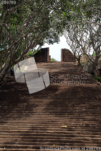 Image of Steps and gate