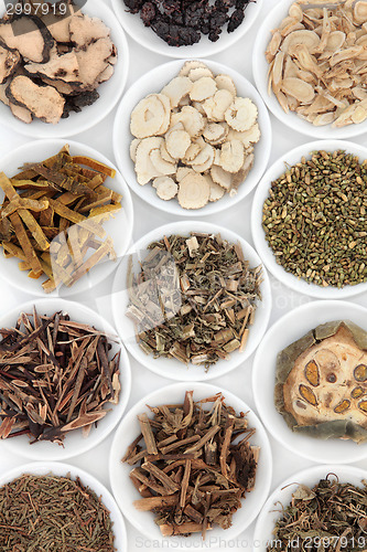 Image of Chinese Herbs