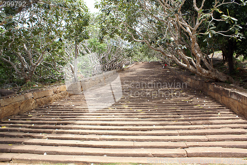 Image of Way up to the hill