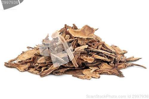 Image of Hog Fennel Root