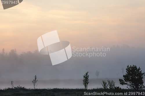 Image of foggy