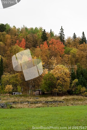 Image of fall in the mountains
