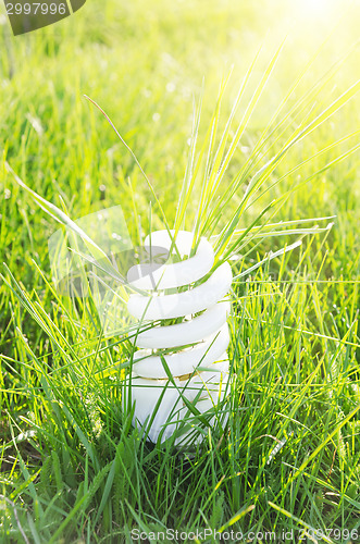 Image of eco bulb on green grass and sun