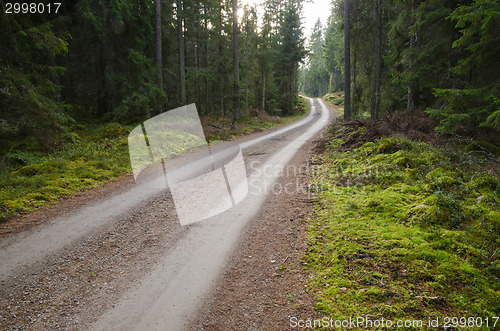 Image of Green environment with a winding gravel road