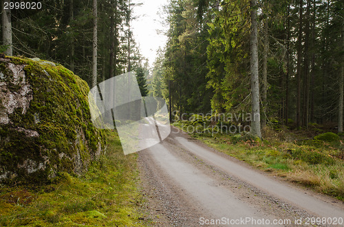 Image of Big mossy rock at a dirt road side