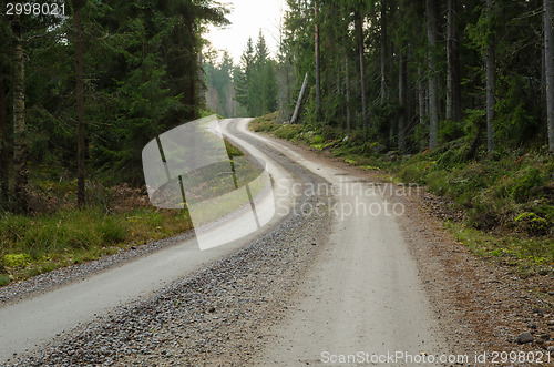 Image of Winding gravel road