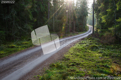 Image of Sunbeams at a gravel road in a green forest