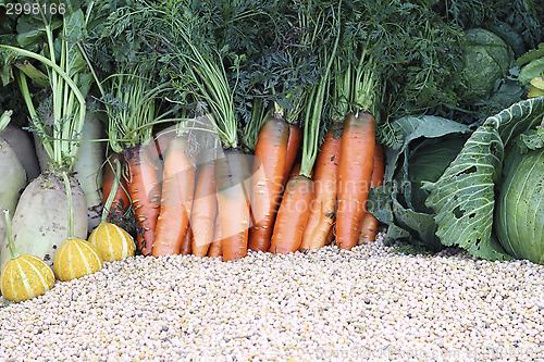 Image of Fresh carrots