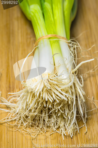 Image of spring onion on a plank