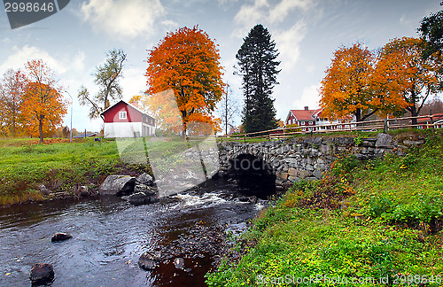 Image of Old cottages surrounded by autumn leaves