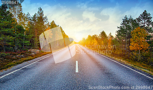 Image of Fall scenic road in Sweden