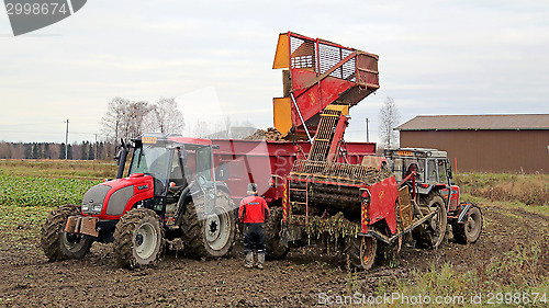 Image of Sugar Beet Harvest 