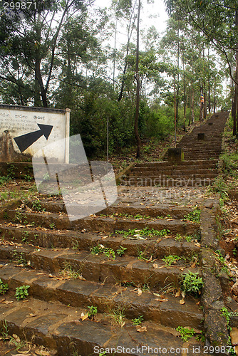 Image of Way to the top of Adam's Peak