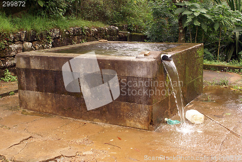 Image of Bath in the forest