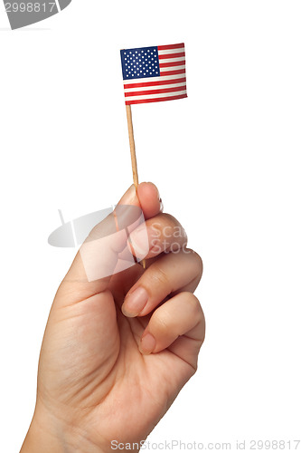 Image of Mini United States of America flag