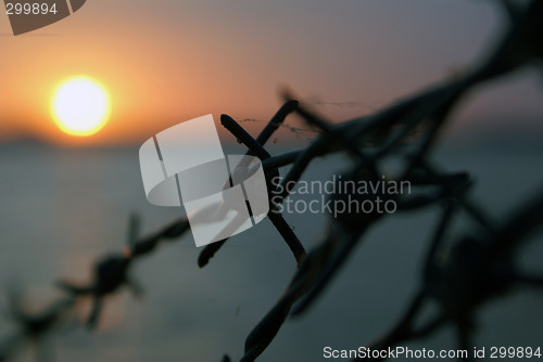 Image of Wire and sunset