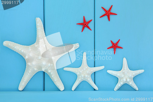 Image of Sea Creatures