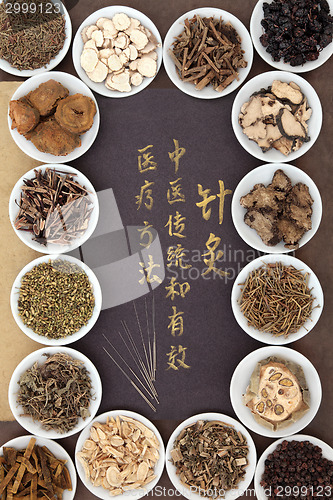 Image of Chinese Acupuncture