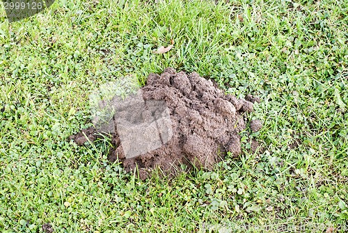 Image of Mole mound in the sport stadium 