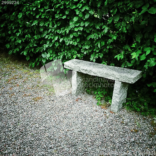 Image of Stone bench in summer garden