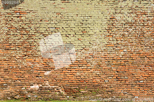 Image of texture of brick wall full of moss