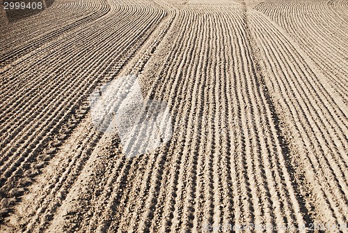 Image of soil of an agricultural field