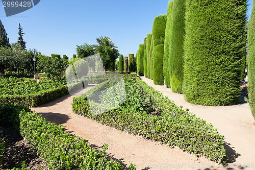 Image of Italian Garden