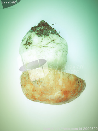 Image of Retro look Porcini Mushroom