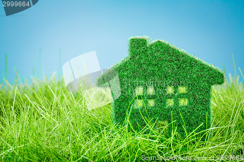 Image of House on the green grass