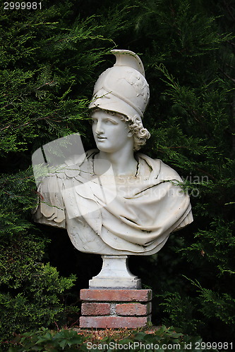 Image of Bust of Alexander the Great