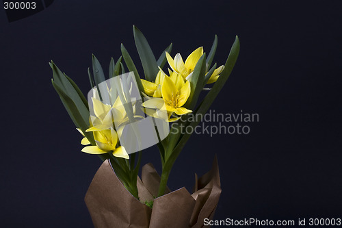 Image of flower