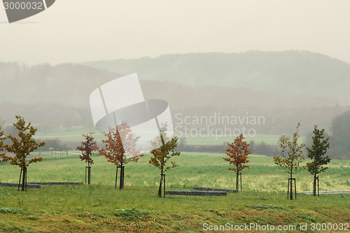 Image of misty autumn scenery