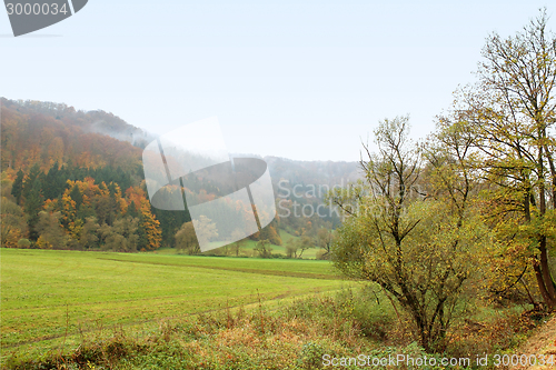 Image of misty autumn scenery