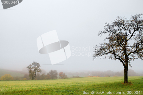 Image of misty autumn scenery