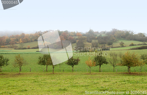 Image of misty autumn scenery