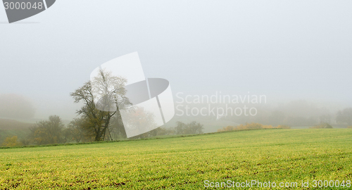 Image of misty autumn scenery