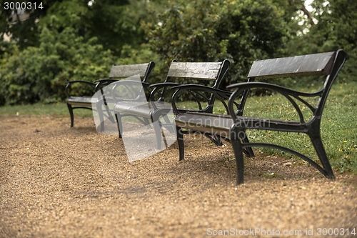 Image of Stylish bench in autumn park