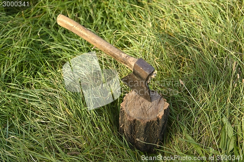 Image of Firewood and old axe