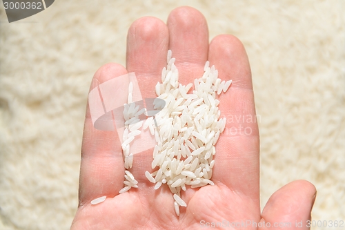 Image of White rice background