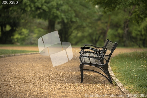 Image of Stylish bench in autumn park